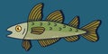 Codfish vector icon illustration